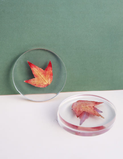 sous verres résine inclusion feuille automne